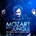 Mozart in the Jungle is listed (or ranked) 10 on the list Every Award Winning Streaming Original, Ranked