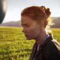 Amy Adams, Jeremy Renner, Forest Whitaker   Arrival is a 2016 American science fiction film directed by Denis Villeneuve and written by Eric Heisserer, based on the short story "Story of Your Life" by Ted Chiang.