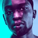 Moonlight on Random Great Movies About Racism Against Black Peopl