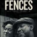 Fences on Random Great Historical Black Movies Based On True Stories