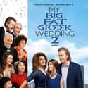My Big Fat Greek Wedding 2 on Random Best Romantic Comedies Of 2010s Decad