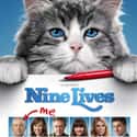 Nine Lives on Random Best Cat Movies
