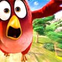 The Angry Birds Movie on Random Bad Video Game Movies That Are Actually Good