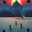 Kong: Skull Island on Random Best New Adventure Movies of Last Few Years