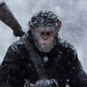 War for the Planet of the Apes on Random Best New Adventure Movies of Last Few Years