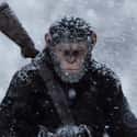 War for the Planet of the Apes on Random Best New Adventure Movies of Last Few Years