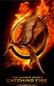 The Hunger Games Franchise on Random Highest Grossing Movie Franchises