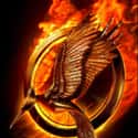 The Hunger Games Franchise is listed (or ranked) 26 on the list The Very Best Movie Franchises
