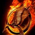 The Hunger Games Franchise on Random Best Recent Survival Shows & Movies