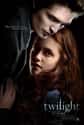 Twilight Saga Franchise on Random Best Film Adaptations of Young Adult Novels