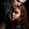 Twilight Saga Franchise on Random Best Film Adaptations of Young Adult Novels