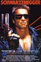 The Terminator Franchise on Random Highest Grossing Movie Franchises