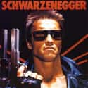 The Terminator Franchise on Random Highest Grossing Movie Franchises