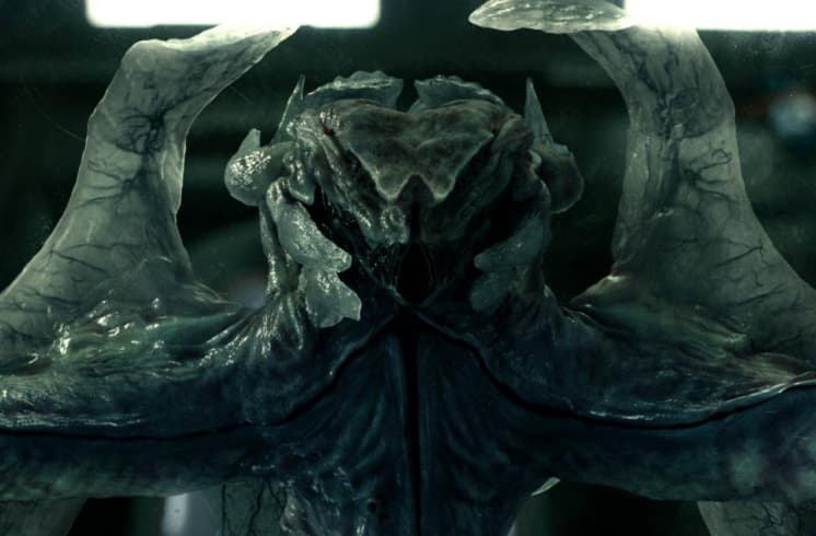 Живое кельвин. Живое кельвин. Живое кельвин. Живое кельвин. Живое (life) 2017.