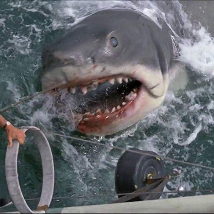 Jaws Franchise