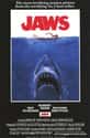 Jaws Franchise on Random Highest Grossing Movie Franchises