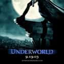 Underworld (2003)Underworld: Evolution (2006)Underworld: Rise of the Lycans (2009)Underworld: Awakening (2012)Underworld: Blood Wars (2016) Underworld is a series of action horror films directed by Len Wiseman, Patrick Tatopoulos, Måns Mårlind, and Björn Stein. The first film, Underworld, was released in 2003.