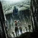 The Maze Runner film series consists of science-fiction dystopian action adventure films based on The Maze Runner novels by the American author James Dashner.