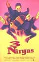 3 Ninjas Franchise on Random Best Live Action Film Franchises for Kids