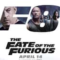 The Fate of the Furious on Random 'Fast and Furious' Movies
