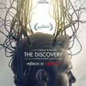 The Discovery on Random Best Indie Movies Streaming on Netflix