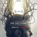 The Discovery on Random Best Indie Movies Streaming on Netflix