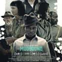 Mudbound on Random Best New Drama Films of Last Few Years