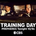 Training Day on Random Best New Action Shows