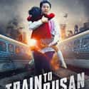 Train to Busan on Random Best Zombie Movies On Netflix
