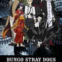 Bungo Stray Dogs on Random Best Anime On Crunchyroll