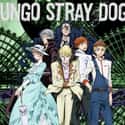 Bungo Stray Dogs on Random Most Popular Anime Right Now