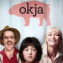Okja on Random Best "Netflix and Chill" Movies Available Now