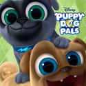Puppy Dog Pals on Random Best New Animated TV Shows