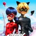 Miraculous: Tales of Ladybug & Cat Noir on Random Greatest Animated Superhero TV Series