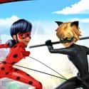 Miraculous: Tales of Ladybug & Cat Noir on Random Best Current Animated Series