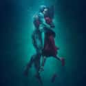 The Shape of Water on Random Best New Romance Movies of Last Few Years