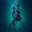 The Shape of Water on Random Best New Romance Movies of Last Few Years
