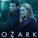 Ozark on Random Best TV Dramas On Netflix