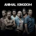 Animal Kingdom on Random Best TV Shows On Amazon Prime