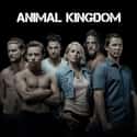Animal Kingdom on Random Best Current TNT Shows