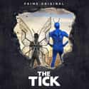 The Tick on Random TV Program And Movies For 'Harley Quinn' Fans