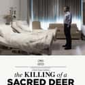 The Killing of a Sacred Deer on Random Best New Thriller Movies of Last Few Years