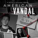 American Vandal on Random Best Teen Shows On Netflix