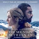 The Mountain Between Us on Random Best New Adventure Movies of Last Few Years
