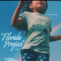 The Florida Project on Random Best New Drama Films of Last Few Years