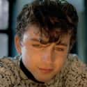 Call Me by Your Name on Random Teen Movies That Definitely Made You Cry