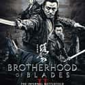 Brotherhood of Blades II: The Infernal Battlefield on Random Best Martial Arts Movies Streaming on Netflix