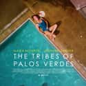 The Tribes of Palos Verdes on Random Best Jennifer Garner Movies