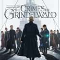 2018   Fantastic Beasts: The Crimes of Grindelwald is a 2018 fantasy drama film directed by David Yates.