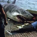 Jaws on Random Behind Scenes Photos Of Movie Villains
